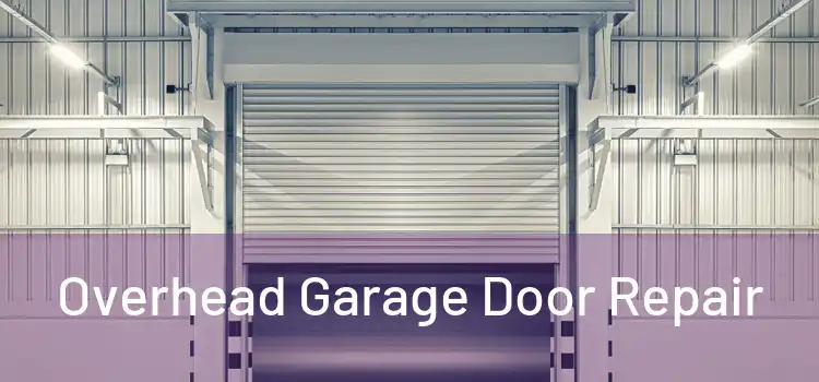  Overhead Garage Door Repair 